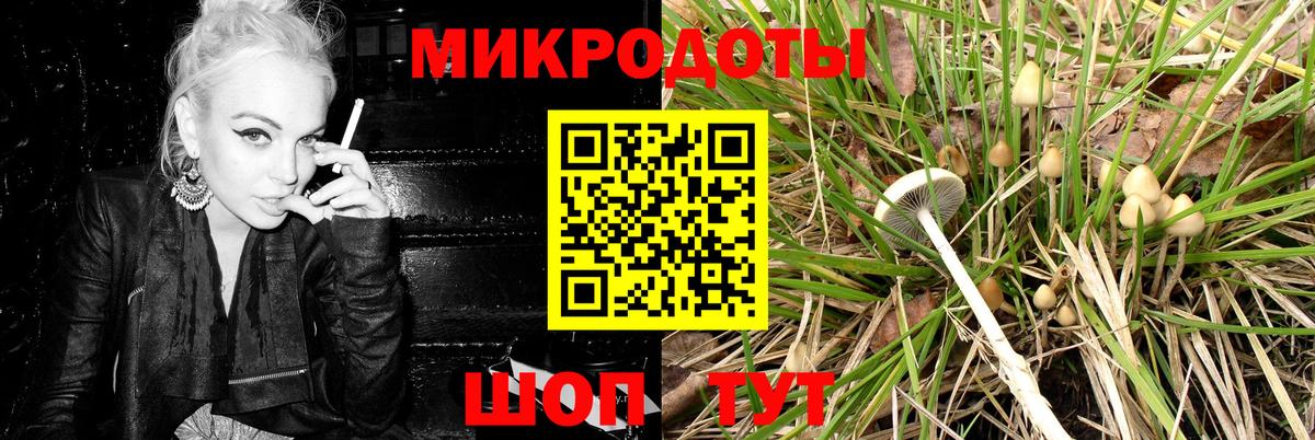 закладка  Вход с VPN  Серов  Псилоцибиновые грибы прущие грибы  Псилоцибиновые грибы Cubensis 