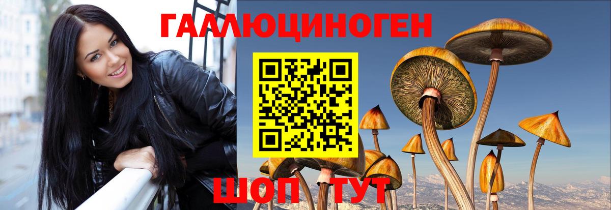 Псилоцибиновые грибы MAGIC MUSHROOMS Серов